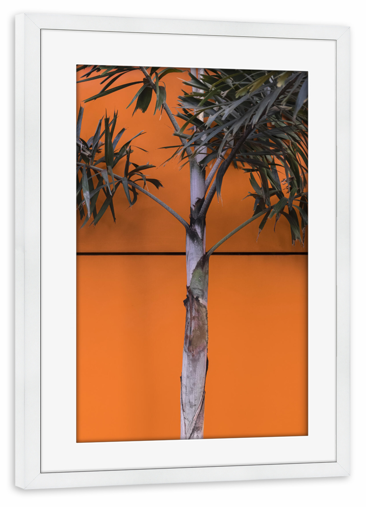 Poster mit Rahmen weiß "Palm In Orange" artboxONE - Natur,Abstrakt