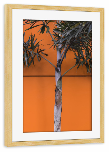 Poster mit Rahmen kiefer "Palm In Orange" artboxONE - Natur,Abstrakt