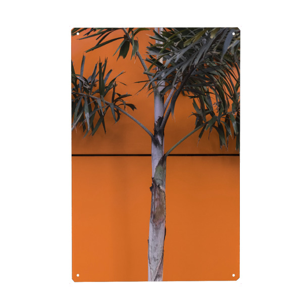 Metall Poster "Palm In Orange" artboxONE - Natur,Abstrakt - Abstract,Minimalist,Tree,Leaves,Composition,Baum,Minimalisitisch,Blätter,Palme,Palmtree