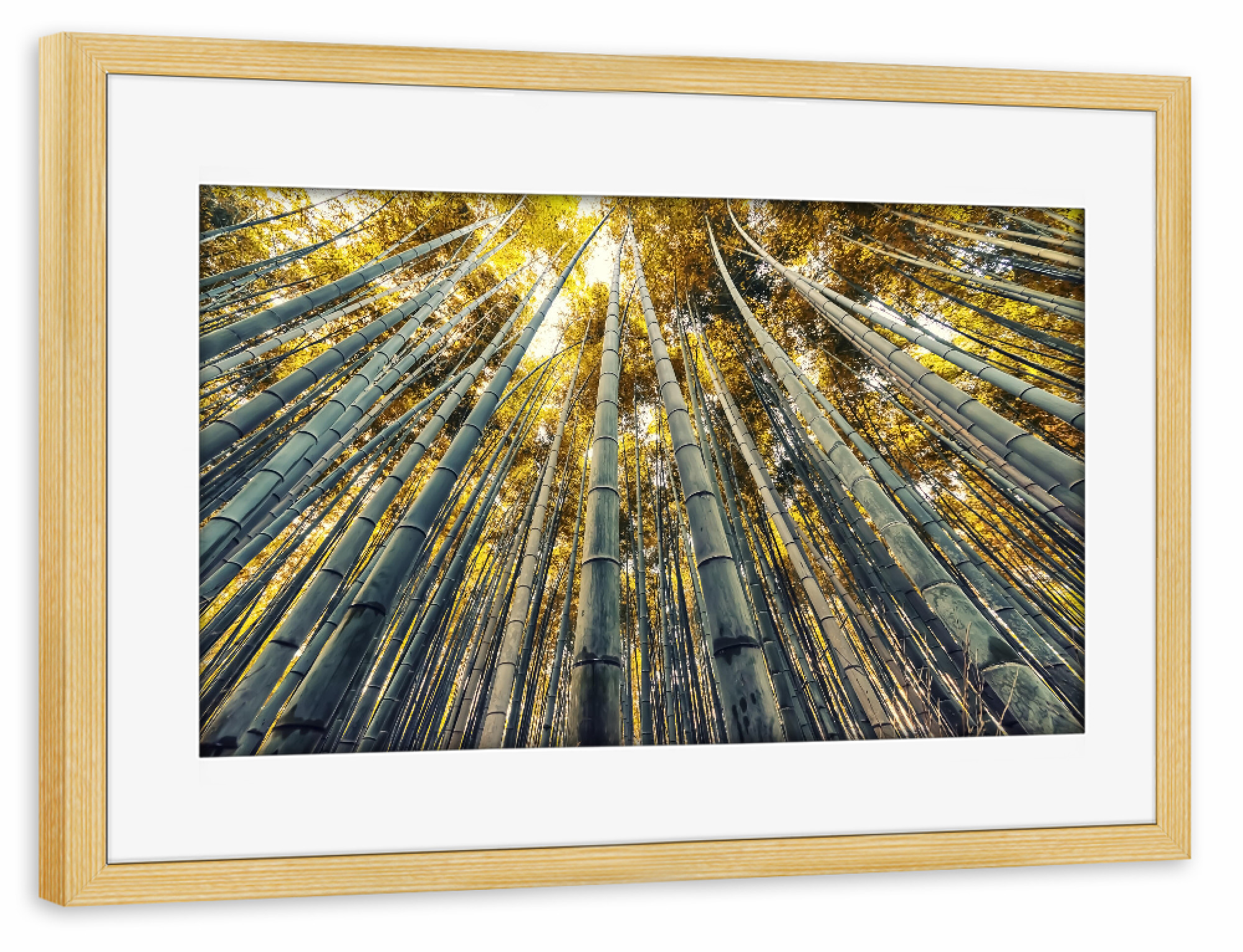 Poster mit Rahmen kiefer "Bamboo in Japan" artboxONE - Natur,Reise,Reise / Asien,Reise / Länder