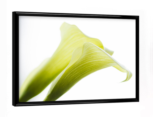Poster mit schwarzem Rahmen "Two In Green And White" artboxONE - Natur,Floral