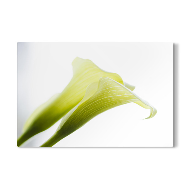 Galerie-Print "Two In Green And White" 30x20 cm artboxONE