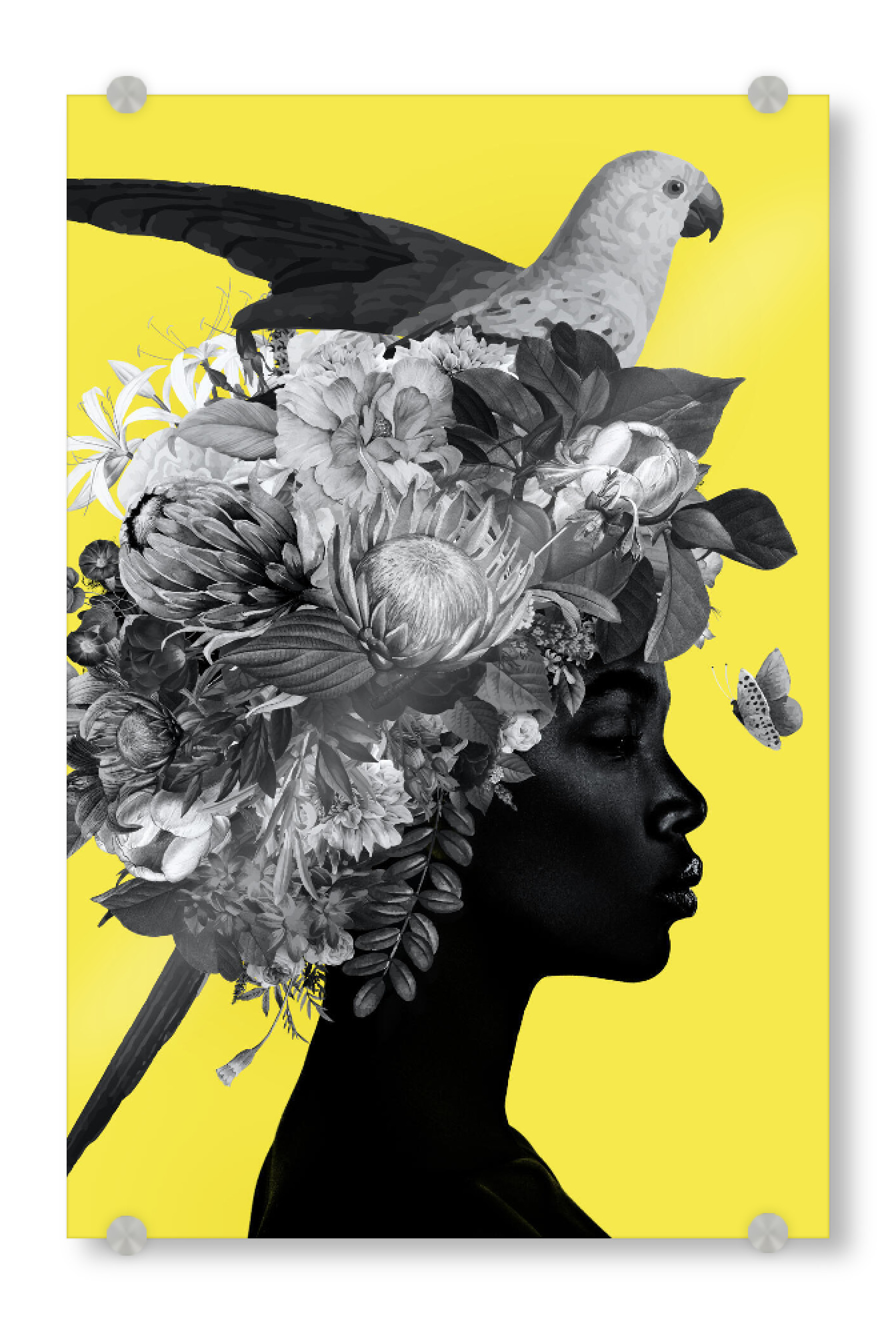 Acrylglasbild "Woman Bird Yellow" artboxONE - Floral,Tiere,Menschen - Face,Black,Woman,Female,Frau,Collage,Vogel,Bird