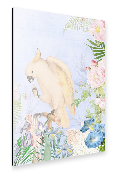 Alu-Dibond "Antique Parrot And Flowers" 30x20 cm artboxONE