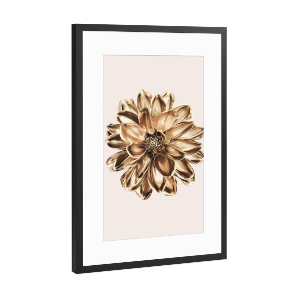 Poster mit Rahmen Schwarz (Metallic) "Dahlie in Gold" artboxONE - Natur,Floral