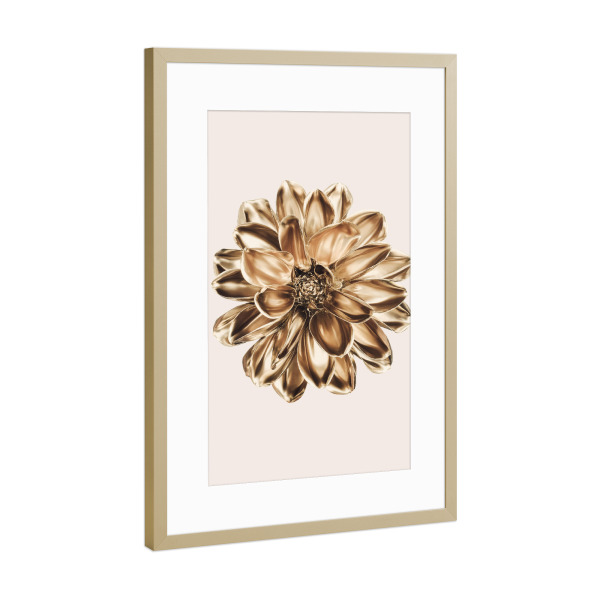 Poster mit Rahmen Gold "Dahlie in Gold" artboxONE - Natur,Floral