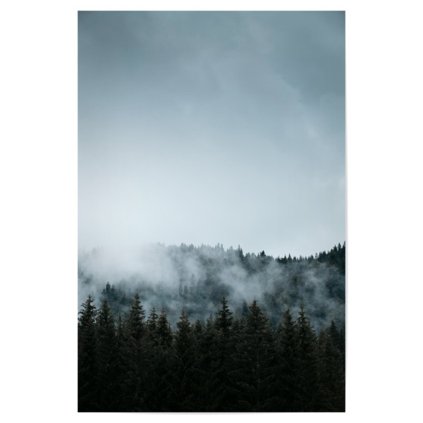 Poster "Wald im Nebel" artboxONE - Natur,Reise,Reise / Länder - Alpen,Alps,Nebel,Wald,Landschaft,Moody,Fog,Forest,Natur,Nature,Travel,Reise