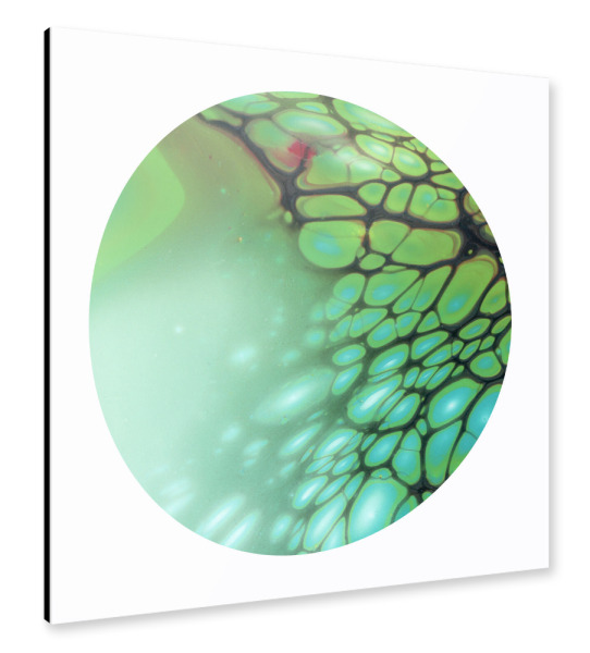 Alu-Dibond "Green the Bloom" 30x30 cm artboxONE