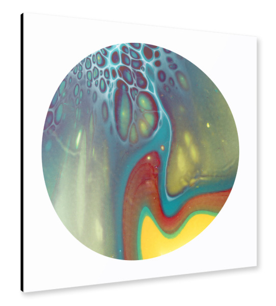 Alu-Dibond "Bunt the Bloom" 30x30 cm artboxONE
