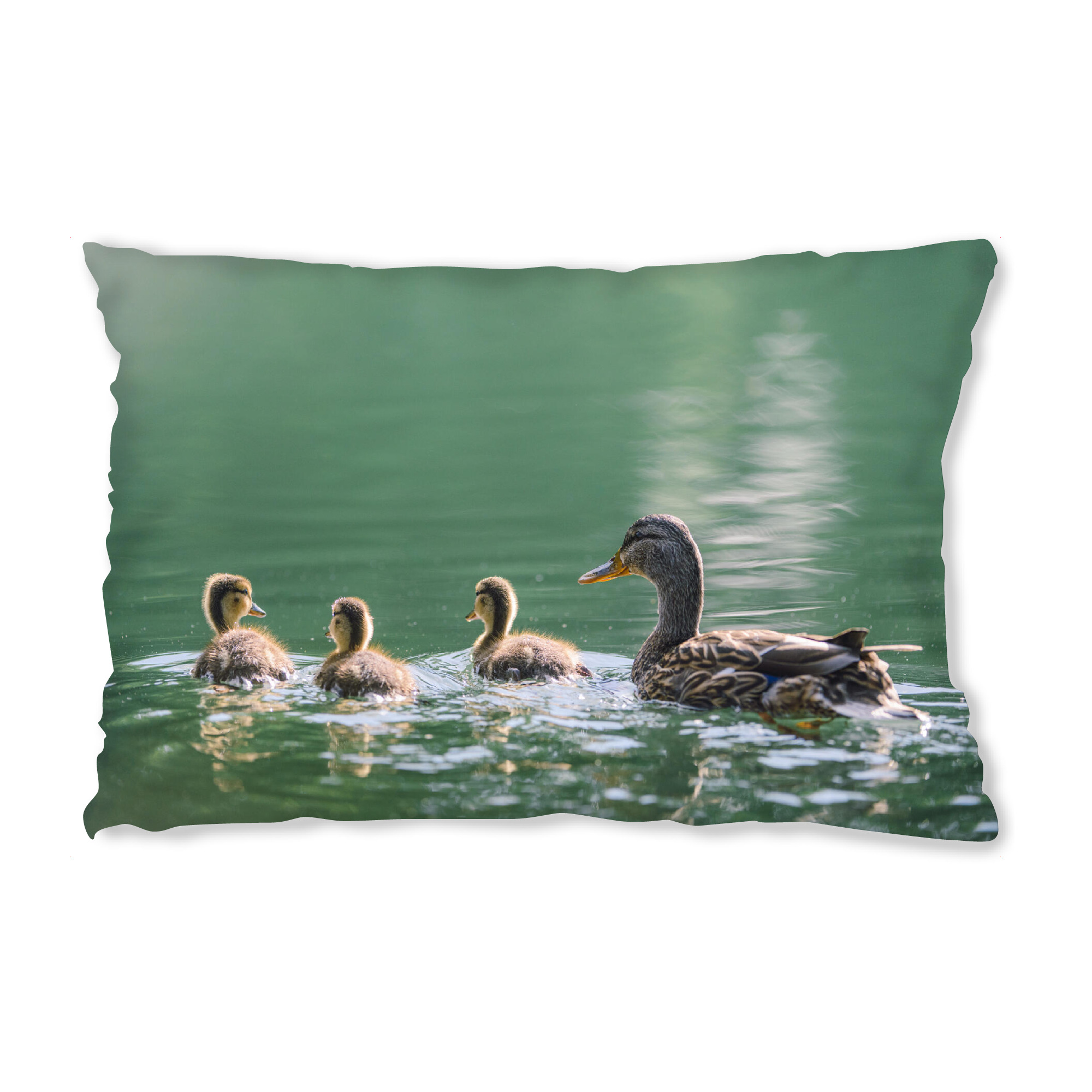Design-Kissen "Cute baby ducklings" artboxONE - Natur,Tiere