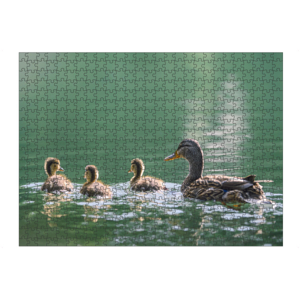 artboxONE Puzzle "Cute baby ducklings" artboxONE - Natur,Tiere
