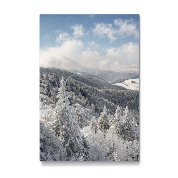 Galerie-Print "Eingeschneiter Winterwald" 30x20 cm artboxONE