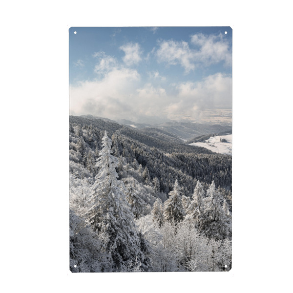 Metall Poster "Eingeschneiter Winterwald" artboxONE - Natur,Reise