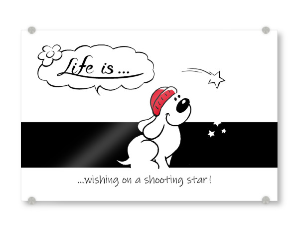 Acrylglasbild "Life is... wishing shooting star" artboxONE - Typografie,Tiere,Comic,Lustig