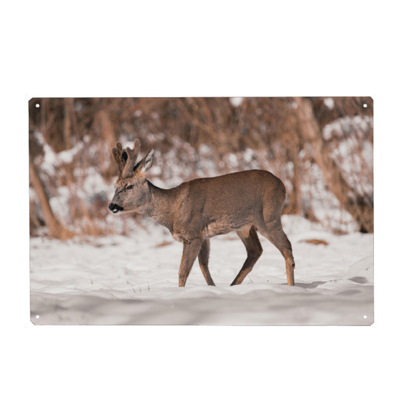 Metall Poster "Wilddays in Winter" artboxONE - Natur,Tiere