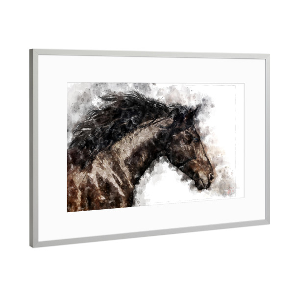 Poster mit Rahmen Silber "Schwarzes Pferd" artboxONE - Natur,Tiere
