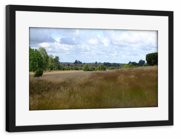 Poster mit Rahmen schwarz "Lüneburger Heide" artboxONE - Natur,Reise,Reise / Länder