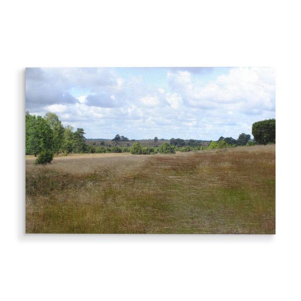 Holzbild "Lüneburger Heide" artboxONE - Natur,Reise,Reise / Länder - Lüneburger heide,Niedersachen,Deustchalnd,Landschaft,Landscape,Natur,Nature