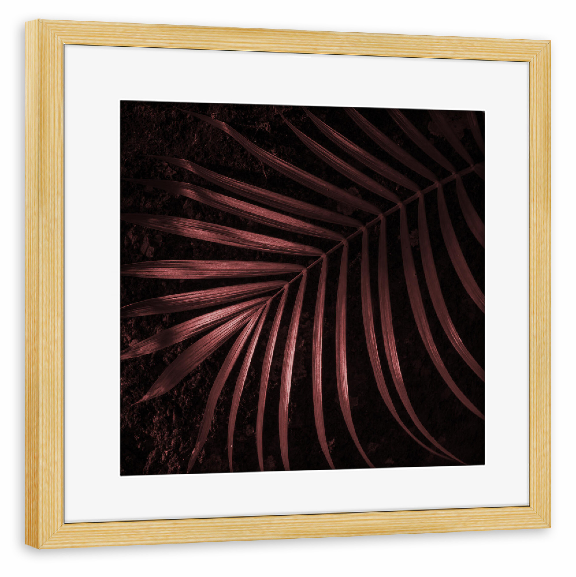 Poster mit Rahmen kiefer "Copper" artboxONE - Natur,Abstrakt - Nature,Copper,Foliage,Garden,Botanical,Leaf,Blatt,Abstract,Abstrakt,Natur,Plant,Pflanze