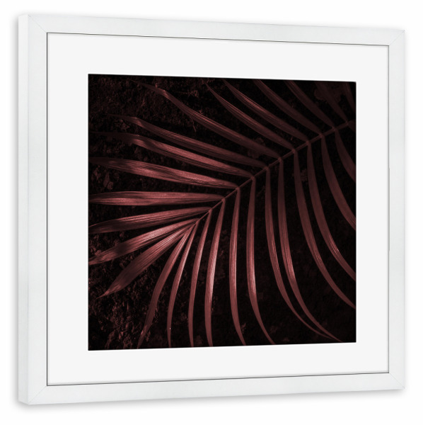 Poster mit Rahmen weiß "Copper" artboxONE - Natur,Abstrakt - Nature,Copper,Foliage,Garden,Botanical,Leaf,Blatt,Abstract,Abstrakt,Natur,Plant,Pflanze