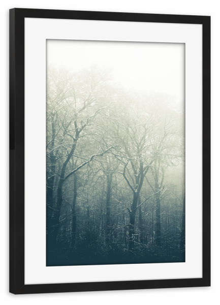 Poster mit Rahmen schwarz "Bewitched Forest" artboxONE - Natur