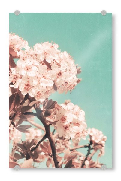Acrylglasbild "Blush Vintage Flowers" artboxONE - Natur,Floral