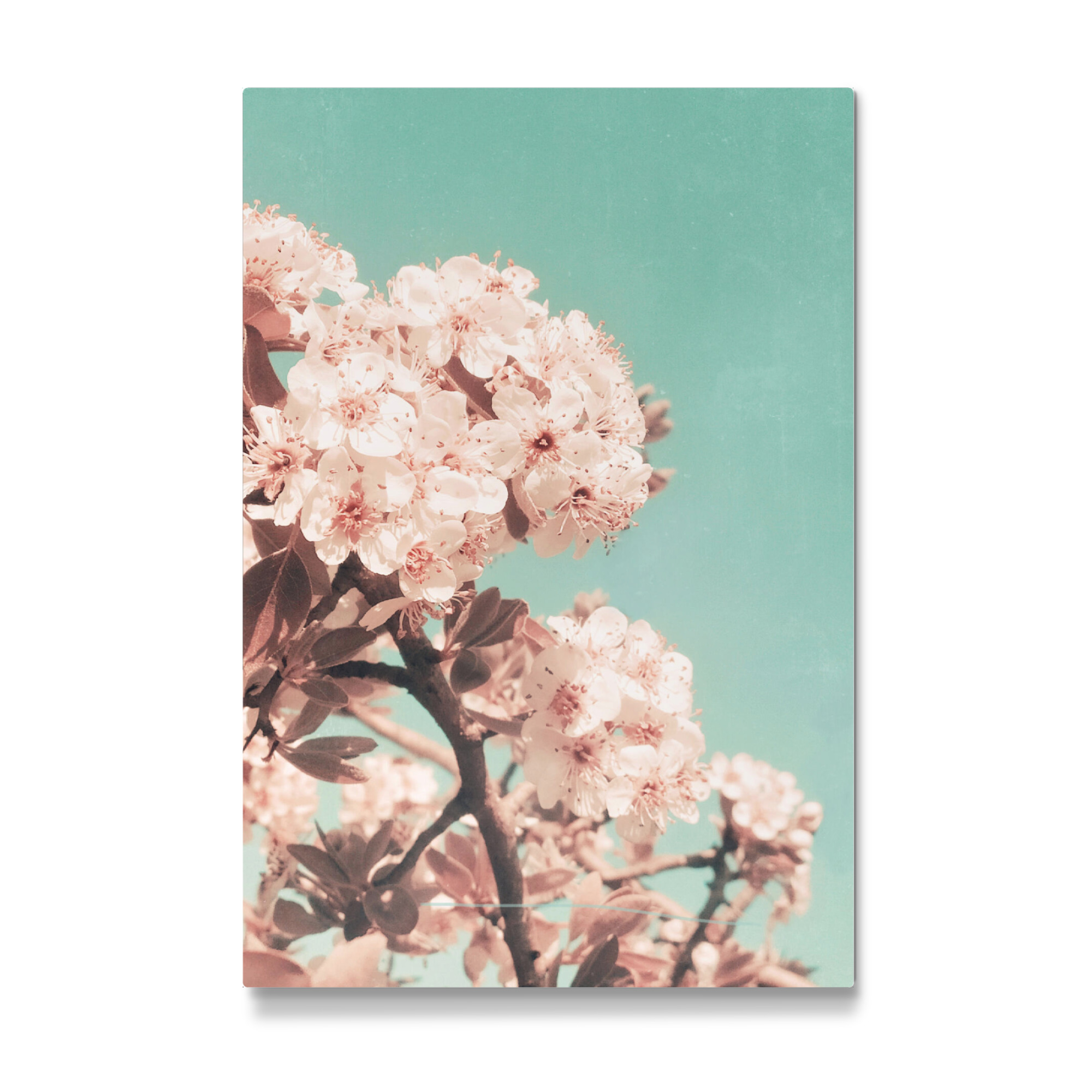 Galerie-Print "Blush Vintage Flowers" 75x50 cm artboxONE