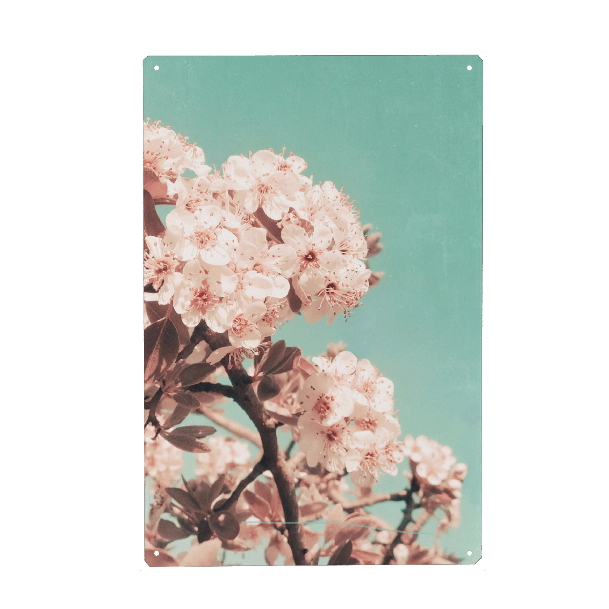Holzbild "Blush Vintage Flowers" artboxONE - Natur,Floral