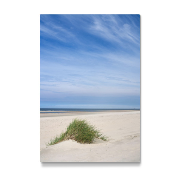 Galerie-Print "Strandgras am Strand von Baltrum" 30x20 cm artboxONE