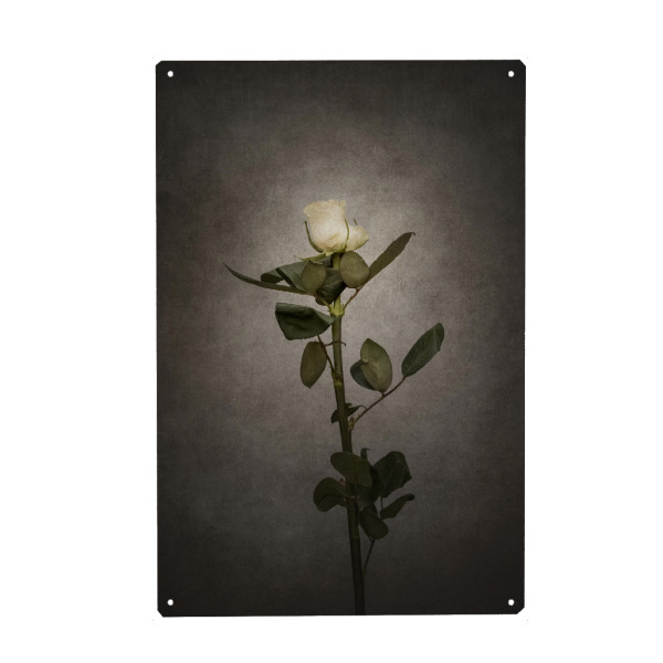 Holzbild "Elegante weiße Rose | Vintage" artboxONE - Floral
