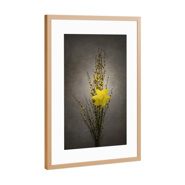 Poster mit Rahmen Kupfer "Vintage Ginster & Osterglöckchen" artboxONE - Natur,Floral