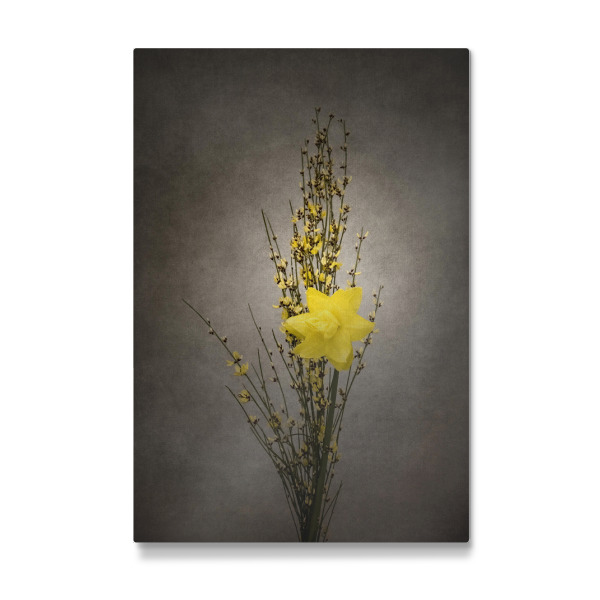 Galerie-Print "Vintage Ginster & Osterglöckchen" 30x20 cm artboxONE