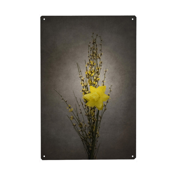 Metall Poster "Vintage Ginster & Osterglöckchen" artboxONE - Natur,Floral