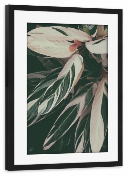 Poster mit Rahmen schwarz "Plant Close Up" artboxONE - Natur - Foliage,Leaf,Leaves,Garden,Botanical,Pflanze,Plant,Natur,Nature,Closeup,Nahaufnahme