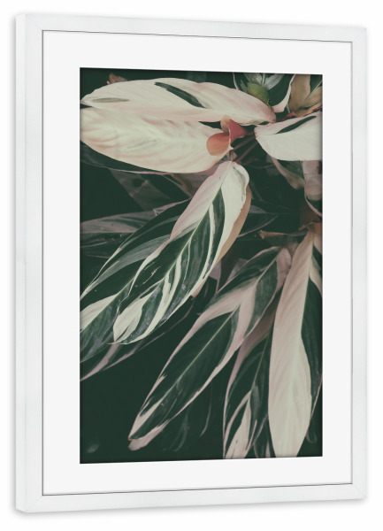 Poster mit Rahmen weiß "Plant Close Up" artboxONE - Natur - Foliage,Leaf,Leaves,Garden,Botanical,Pflanze,Plant,Natur,Nature,Closeup,Nahaufnahme