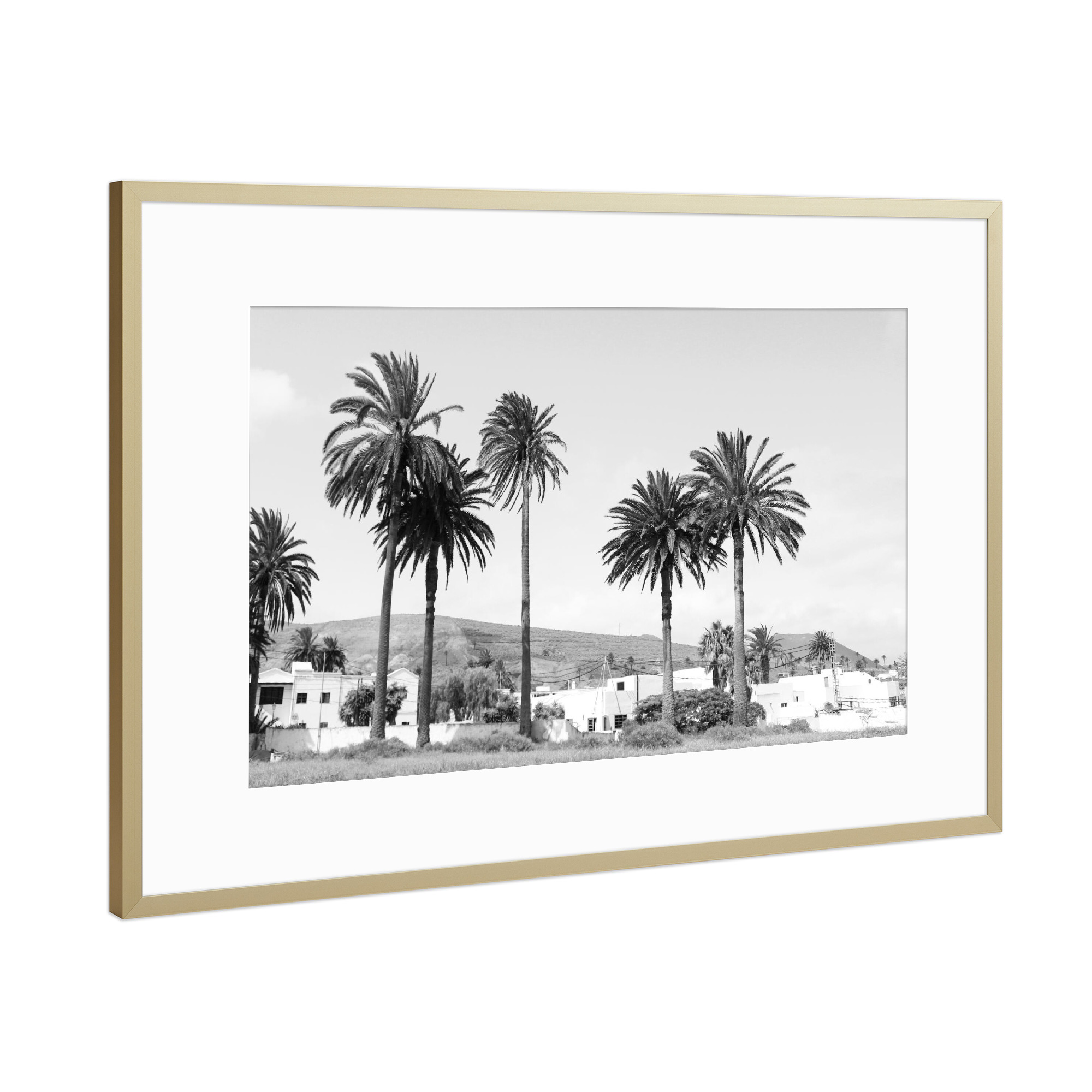 Poster mit Rahmen Gold "Palmenreihe Schwarz/Weiß" artboxONE - Natur,Reise,Schwarzweiß,Reise / Länder