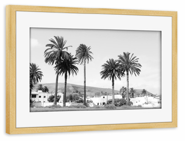 Poster mit Rahmen kiefer "Palmenreihe Schwarz/Weiß" artboxONE - Natur,Reise,Schwarzweiß,Reise / Länder