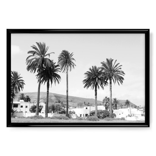 Palmenreihe Schwarz/Weiß Palmenreihe Schwarz/Weiß