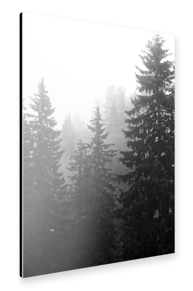 Alu-Dibond "Nebeliger Nadelwald" 30x20 cm artboxONE