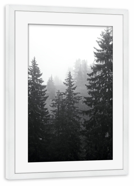 Poster mit Rahmen weiß "Nebeliger Nadelwald" artboxONE - Natur,Reise,Schwarzweiß