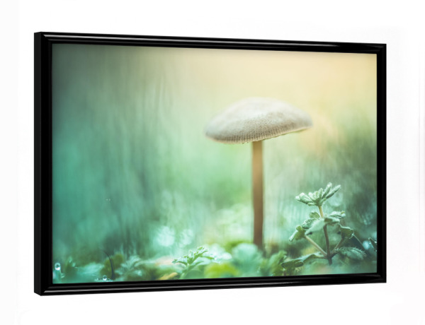 Poster mit schwarzem Rahmen "Enchanted Mushroom" artboxONE - Natur,Floral