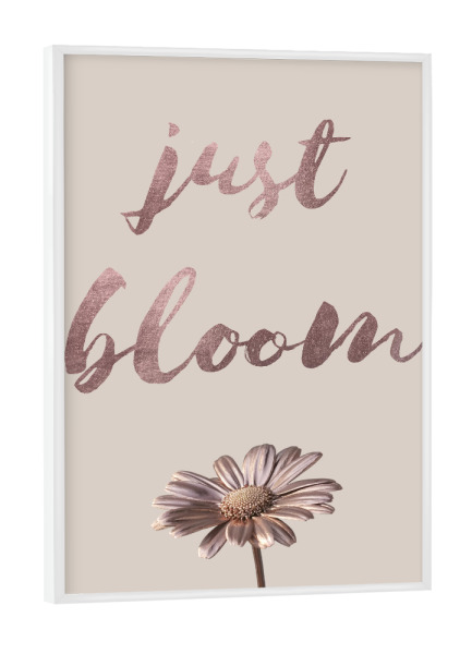 Poster mit weißem Rahmen "Just Bloom Rosegold" artboxONE - Typografie,Natur,Floral