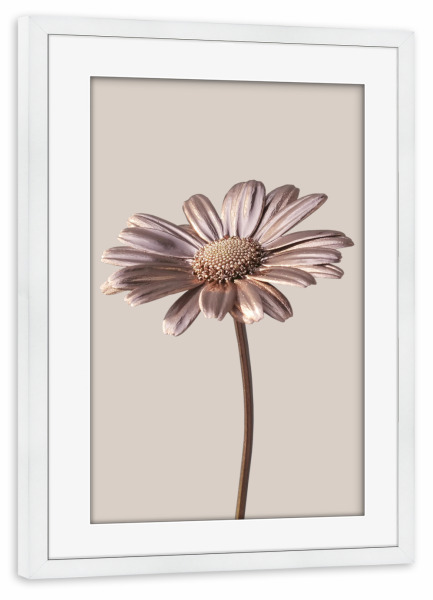 Poster mit Rahmen weiß "Daisy in Rosegold" artboxONE - Natur,Floral