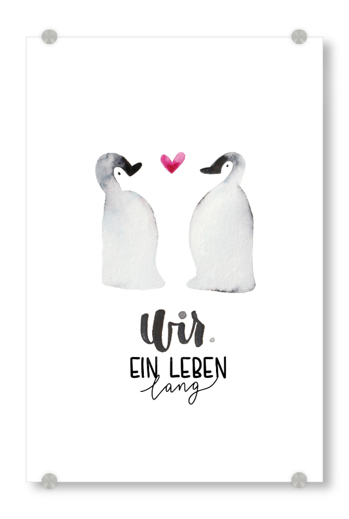 Acrylglasbild "Wir, ein Leben lang" artboxONE - Typografie,Tiere,Liebe