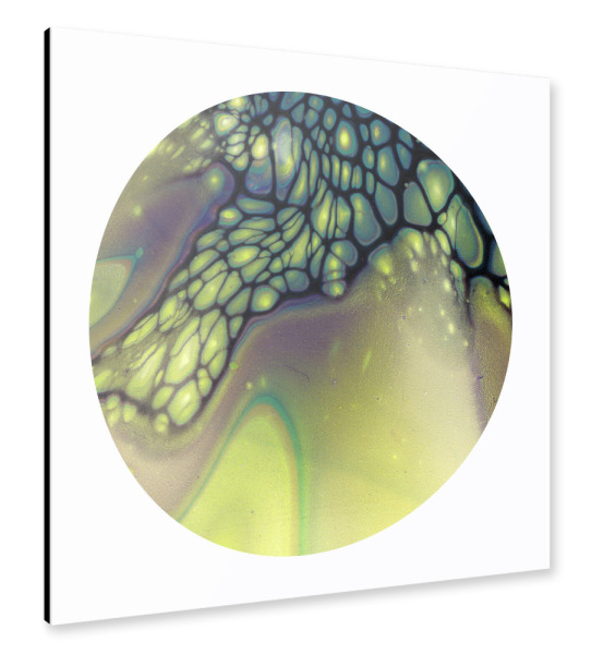 Alu-Dibond "Lila und Gelb Bloom" 30x30 cm artboxONE