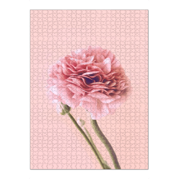 Puzzle Ravensburger "Pink Buttercup" artboxONE - Floral - Buttercup,Pink,Floral,Flower,Spring,Delicate,Blush,Blume,Plant,Pflanze - Bild buttercup