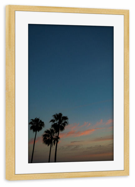 Poster mit Rahmen kiefer "Venice Palm Trees" artboxONE - Natur,Reise,Reise / Strand und Meer,Städte / Los Angeles