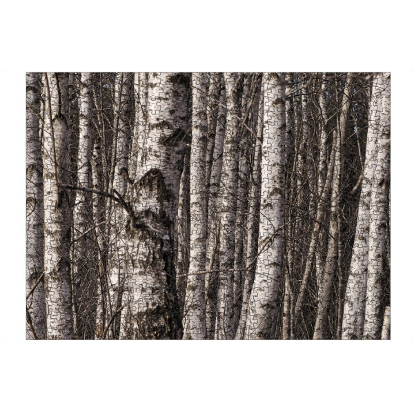 Puzzle Ravensburger "Birkenwald" artboxONE - Natur