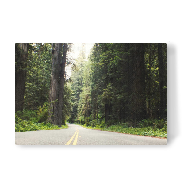 Leinwandbild "Redwood Highway, California" artboxONE - Natur,Reise,Reise / Länder