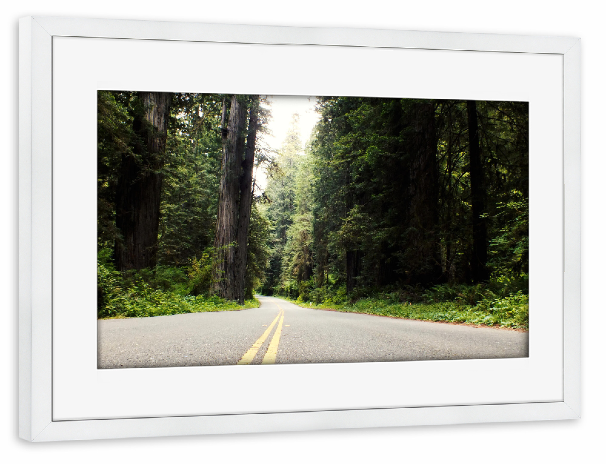Poster mit Rahmen weiß "Redwood Highway, California" artboxONE - Natur,Reise,Reise / Länder